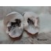 Ladies slippers Fluffy